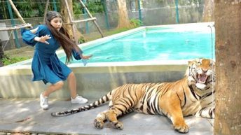 Khushi Par Kiya Tiger Ne Attack 😭 | Thailand Series