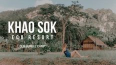 Eco-Friendly Resort in Khao Sok, Thailand | OUR JUNGLE CAMP