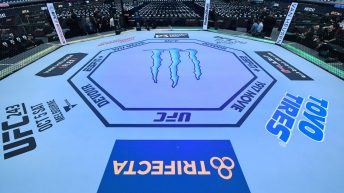 UFC going in on fin-dom?