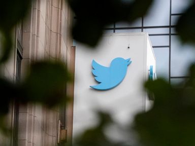 Twitter removes tweets about ‘Trans Day of Vengeance’