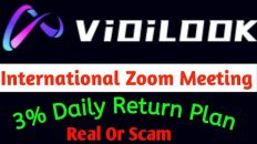 ViDiLOOK International Zoom Meeting || #vidilook