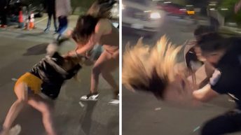 Wild Video Shows WWE-Style Rumble Outside Texas Club