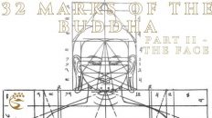 32 Marks of a Buddha Explained! Part 2 – The Face | Ajahn Kovilo