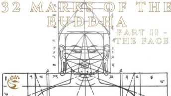 32 Marks of a Buddha Explained! Part 2 – The Face | Ajahn Kovilo