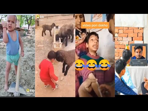 new zilli funny viral videos| funny video/ payal panchal new video/raato rat viral zilli funny video