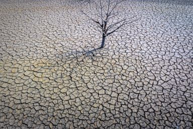 Drought will cause crop failures in Spain, farmers warn