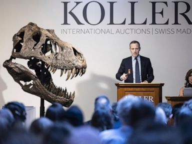 T. rex skeleton expected to fetch millions at Zurich auction