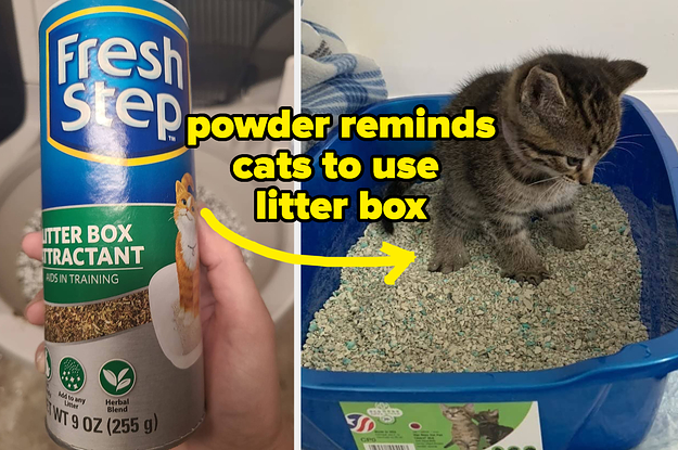 19 Products To Save The Day When Your Pet Poops On Your Stuff (Again)