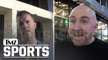 Alleged Witnesses In Michael Irvin Incident Recount Story, Back Hall of Famer | TMZ Sports