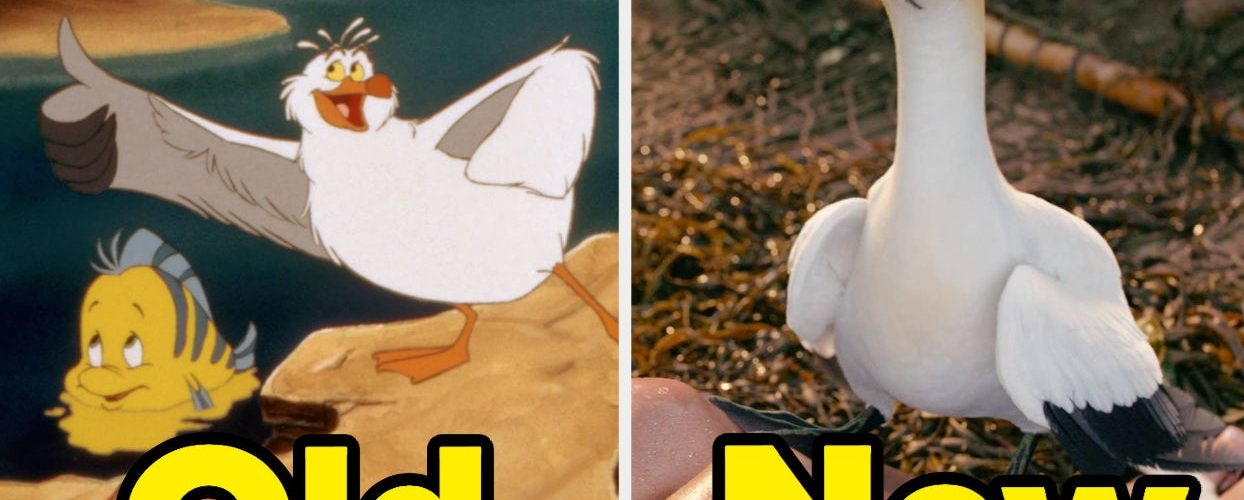 Here’s Why Scuttle Isn’t A Seagull Anymore In “The Little Mermaid” Live-Action Movie, And It Makes Perfect Sense