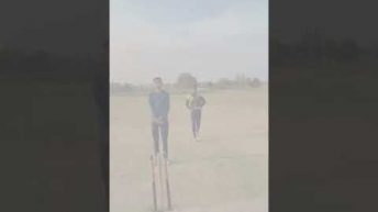 बेहतरीन yorkers🔥😍#cricket #viral #trending #cricketlovers #reels #top #ipranshucricketer #shorts #yt