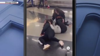 Viral video shows people fighting at O’Hare Airport