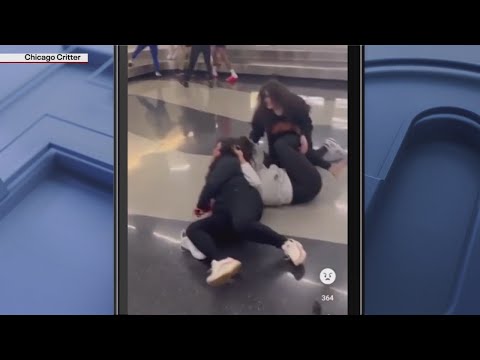 Viral video shows people fighting at O’Hare Airport