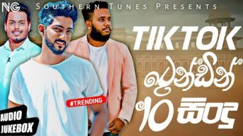 Tiktok Trending Sinhala Songs 2023/New Sinhala Songs 2023/Tiktok Sinhala Songs 2023 (audio jukebox)