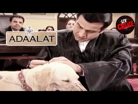 Genius K.D. | K.D. Uses A Dog To Solve A Complex Case | अदालत | Adaalat