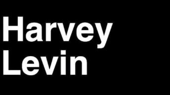 How to Pronounce Harvey Levin Executive Producer TMZ Celebrity Tabloid TV News Show