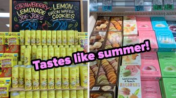 15 Budget-Friendly Trader Joe’s Items That I Just Know I’m Going To Be Buying All Summer Long