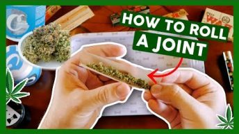 How to Roll a Joint for Beginners