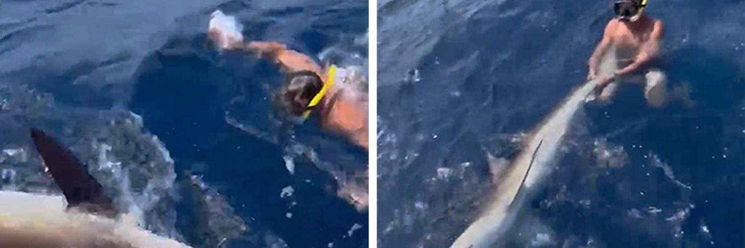 Drew Rosenhaus Wrestles Shark On Fishing Trip With Tyreek Hill