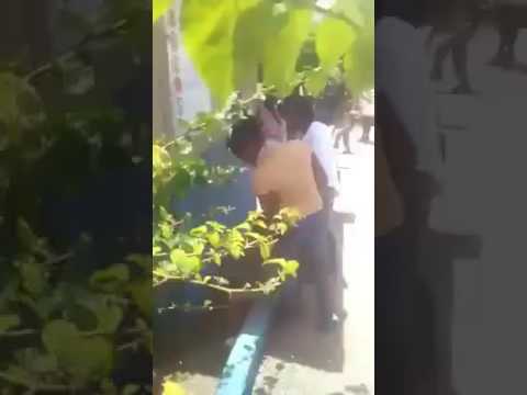 Mediatakeout Jamaican 1st grader cussing because he dont want to go to school