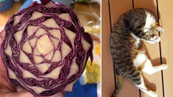 18 Random Examples Of The Fibonacci Sequence That Prove All This Is A Construct