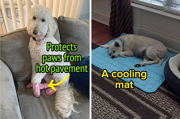 22 Products That’ll Keep Your Dog Happy And Comfy During The Summer