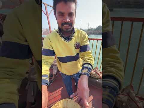 Haridwar Mei Khana Khilate Hai Free Kisi Bhi Bhukhe Insaan Ko #trending #trend #viral #viraltrend