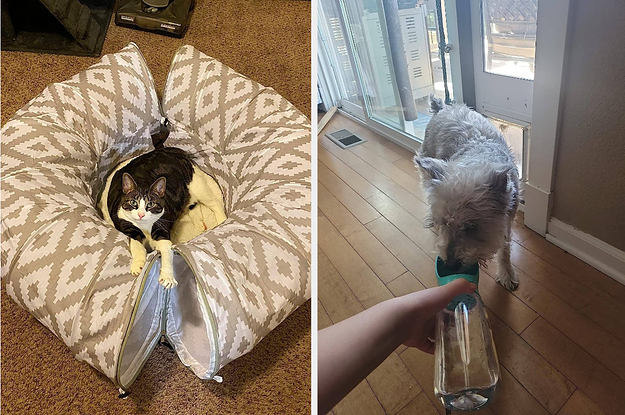 36 Pet Products From Amazon Our Readers Are Loving So Far In 2023