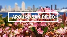 Around San Diego | July 7