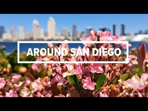 Around San Diego | July 7