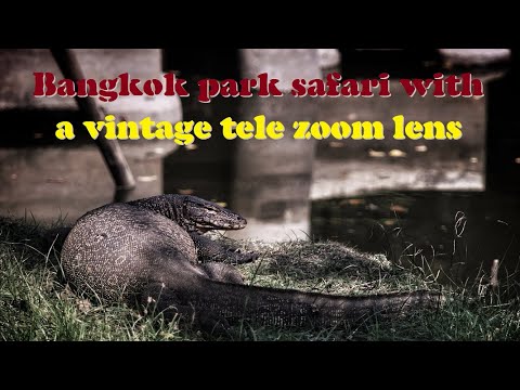 Bangkok safari with a vintage tele zoom lens (Thailand, 2023)