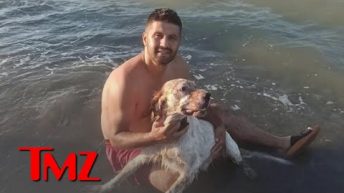 Dog Shoots And Kills Owner In Car While On Hunting Trip | TMZ Live