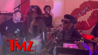 Chaka Khan Duets with Stevie Wonder for Her 70th Birthday, Icons Pack Party | TMZ Exclusive