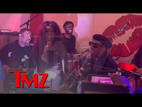 Chaka Khan Duets with Stevie Wonder for Her 70th Birthday, Icons Pack Party | TMZ Exclusive