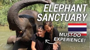 Elephant Sanctuary Experience in Chiang Mai, Thailand 🇹🇭