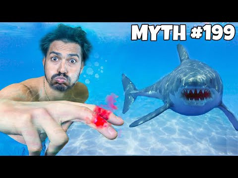 BUSTING 24 MYTHS IN 24 HOURS! | EXTREME MYTHS | Hungry Birds