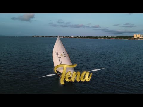 Harmonize – Tena (Official Music Video)