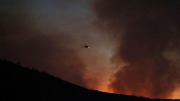 Three Dead After Midair Firefighting Helicopter Collision in California