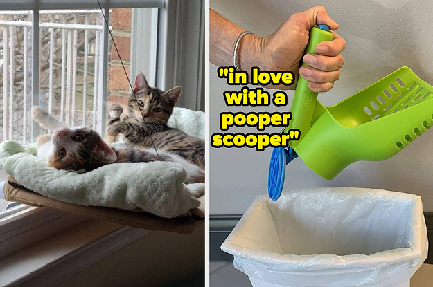 27 Underrated Pet Products That Are Actually Worth Purchasing