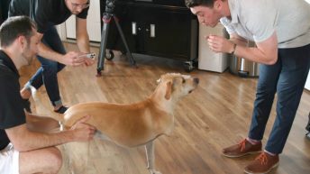 Apple and MKBHD showcase company using iPhone LiDAR to help create pet prosthetics