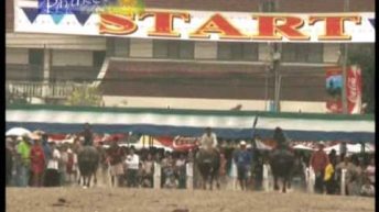 Water Buffalo Racing in Chonburi, Thailand—RodMcNeil.TV