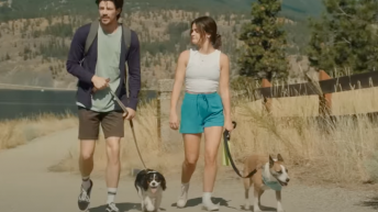 As A Cat Owner, Here Are All The Times “Puppy Love” Made Me Secretly Wish For A Dog