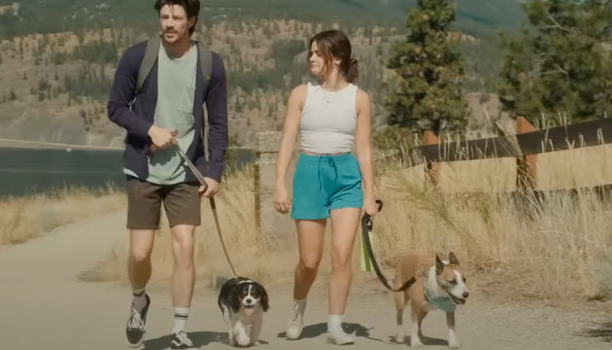 As A Cat Owner, Here Are All The Times “Puppy Love” Made Me Secretly Wish For A Dog