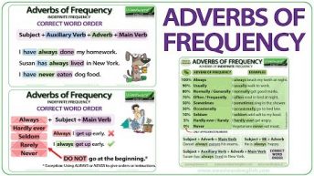 Adverbs of Frequency in English – Meaning, Word Order and Examples