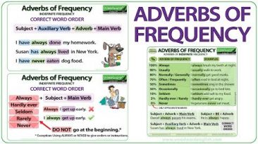 Adverbs of Frequency in English – Meaning, Word Order and Examples