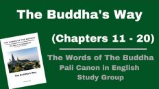 (Pali Canon Study Group) The Buddha’s Way- Volume 10 – (Chapter 11-20)