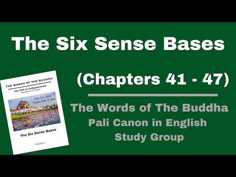 (Pali Canon Study Group) The Six Sense Bases – Volume 9 – (Chapter 41-47)