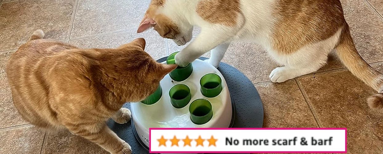 Cat Owners: These 34 Things Will Make *Your* Life Easier And *Their* Lives Happier