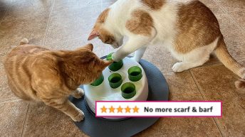 Cat Owners: These 34 Things Will Make *Your* Life Easier And *Their* Lives Happier