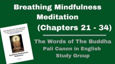 (Pali Canon Study Group) Breathing Mindfulness Meditation – Volume 7-(Chapter 21-34) at Wat Tung Yu